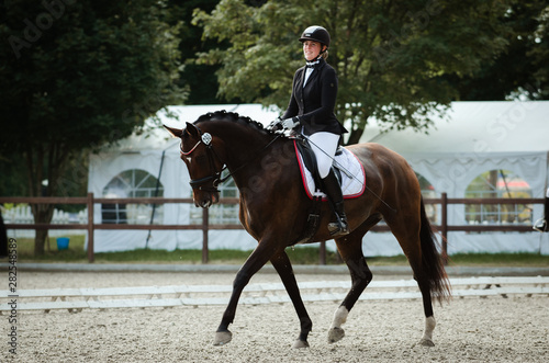 Reiterin trabt mit ihrem Pferd in der Dressur auf einem Turnier