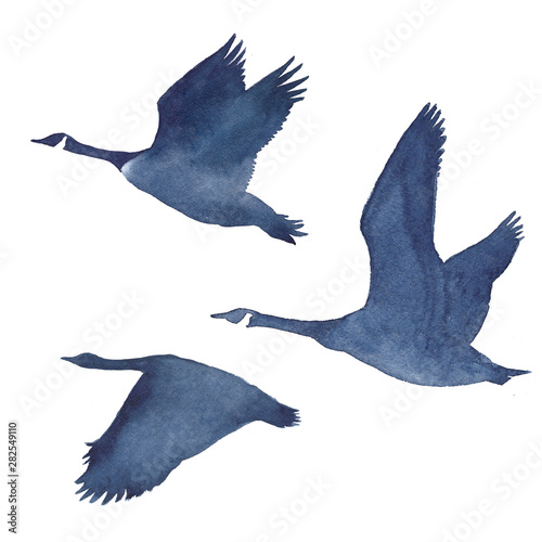 Watercolor silhouettes of flying geese on a white background