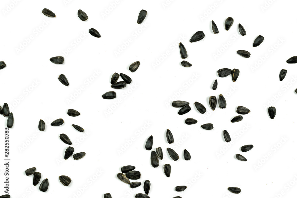 Sunflower seeds, background or texture isolated on white. lose-up. Sunflower seeds, background or texture isolated on white. lose-up.