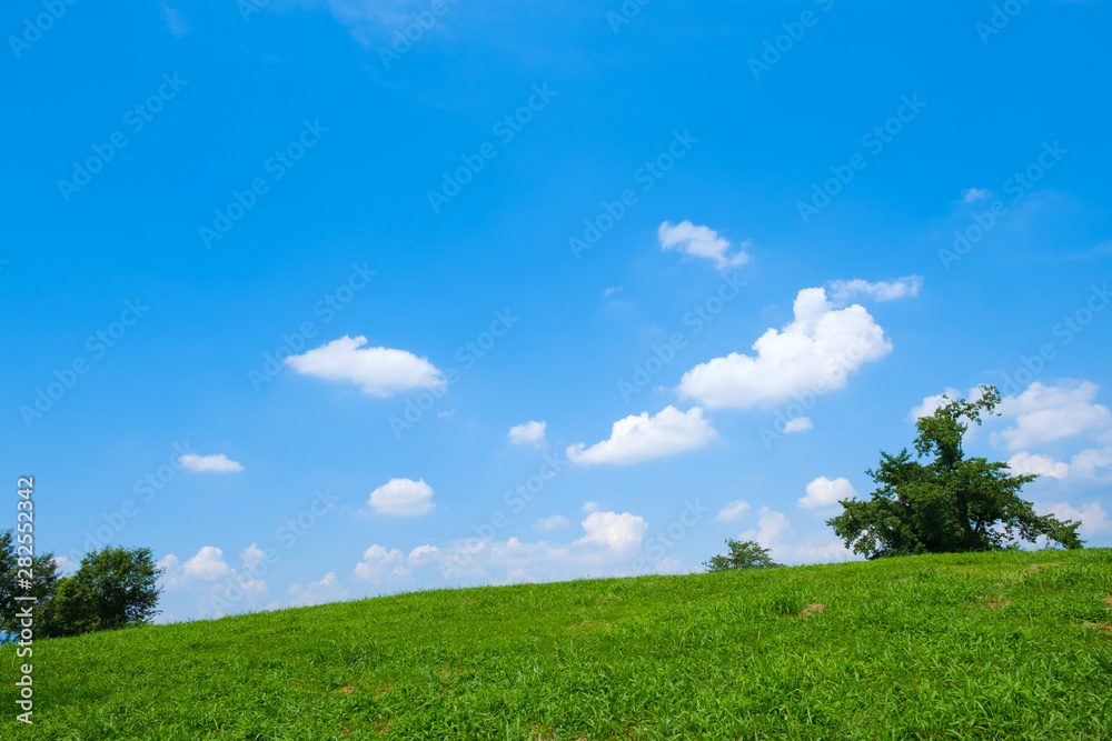 【写真素材】 青空　空　雲　夏の空　草原　背景　背景素材　草原　7月　コピースペース