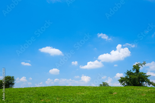 【写真素材】 青空 空 雲 夏の空 草原 背景 背景素材 草原 7月 コピースペース