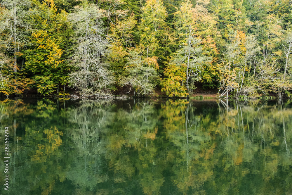 autumn leaves reflecting in water autumn leaves reflecting in water