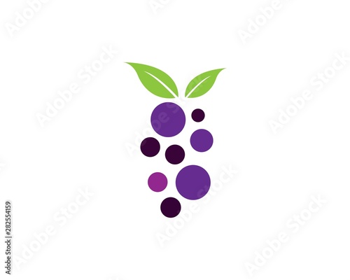 Bunch of wine grapes with leaf icon for food apps and websites
