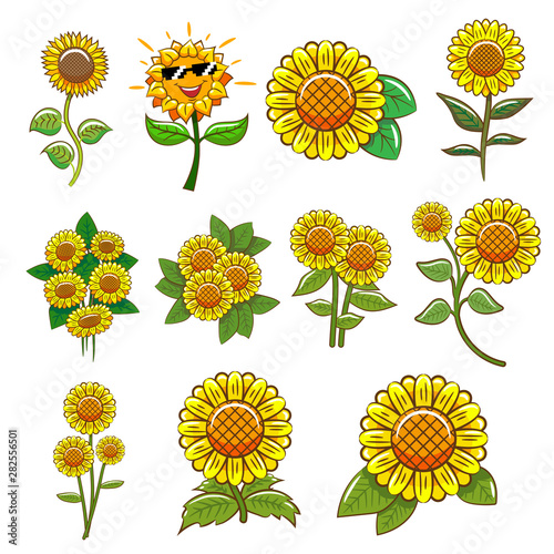 sunflower vector clipart design