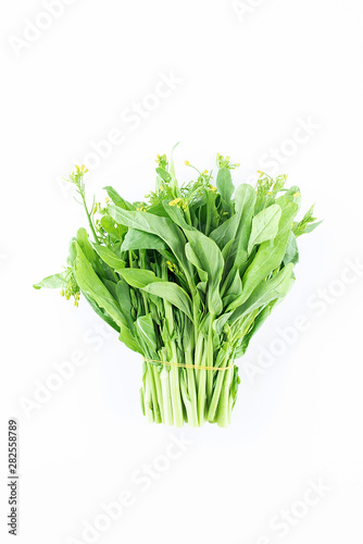 A handful of fresh vegetables cabbage on a white background
