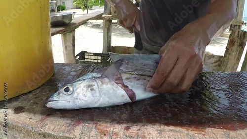 Los Roques venezuela -close up of a local Caribbean fisherman  filleting a freshly caught makarel photo