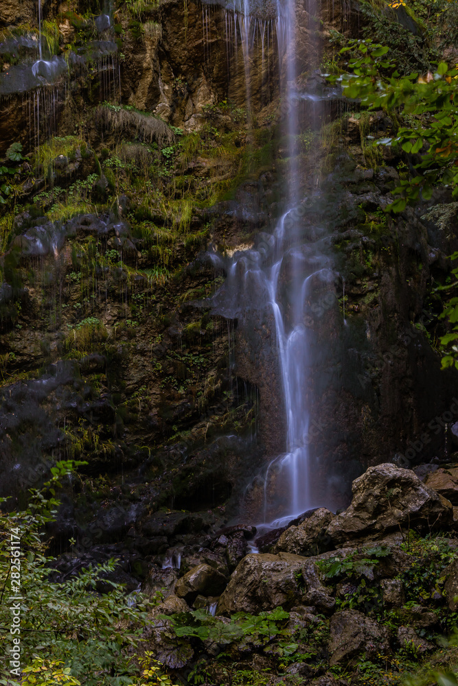 Obraz premium autumn leaves