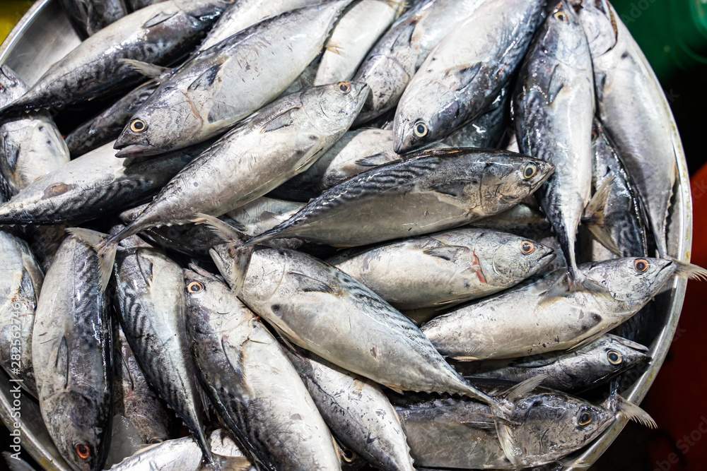 Fresh fish for sale in the morning market, Muang Chumphon Municipal Food Market Thailand