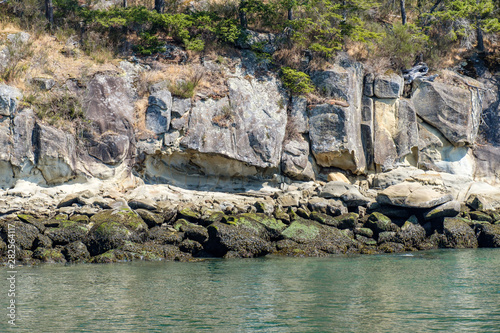 cliff face with giant rocks near the coast by the water with trees grown on top