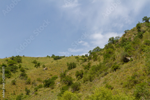landscape of the foothills of the Tien Shan