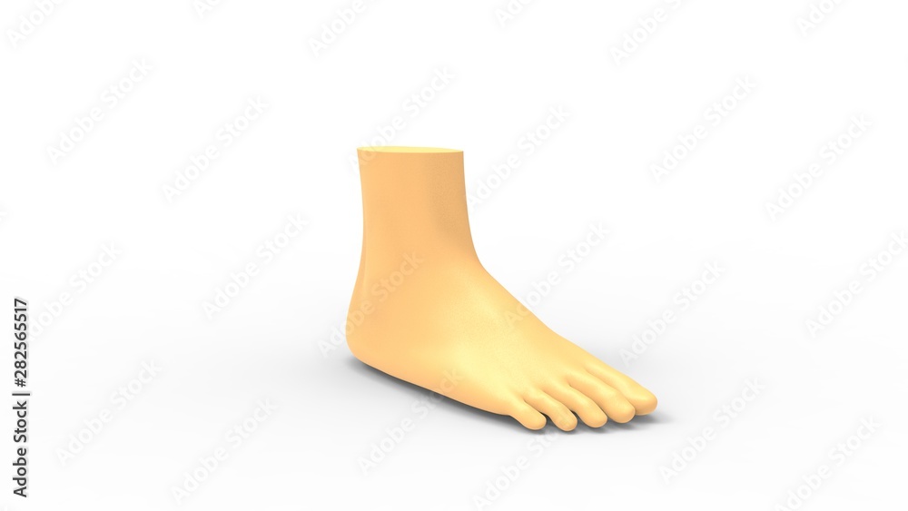 Human foot 3d rendering isolated in white studio background Human foot 3d rendering isolated in white studio background