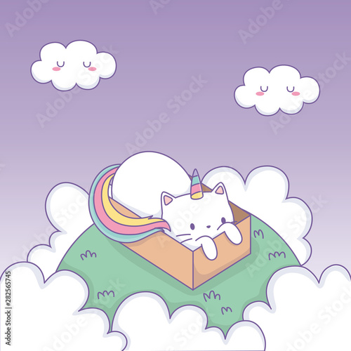 cute cat with rainbow tail in carton box kawaii character