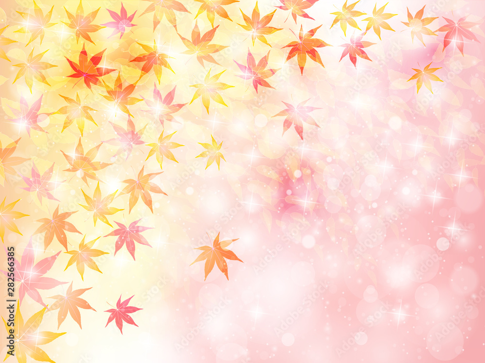 紅葉 もみじ 葉 背景 紅葉 もみじ 葉 背景