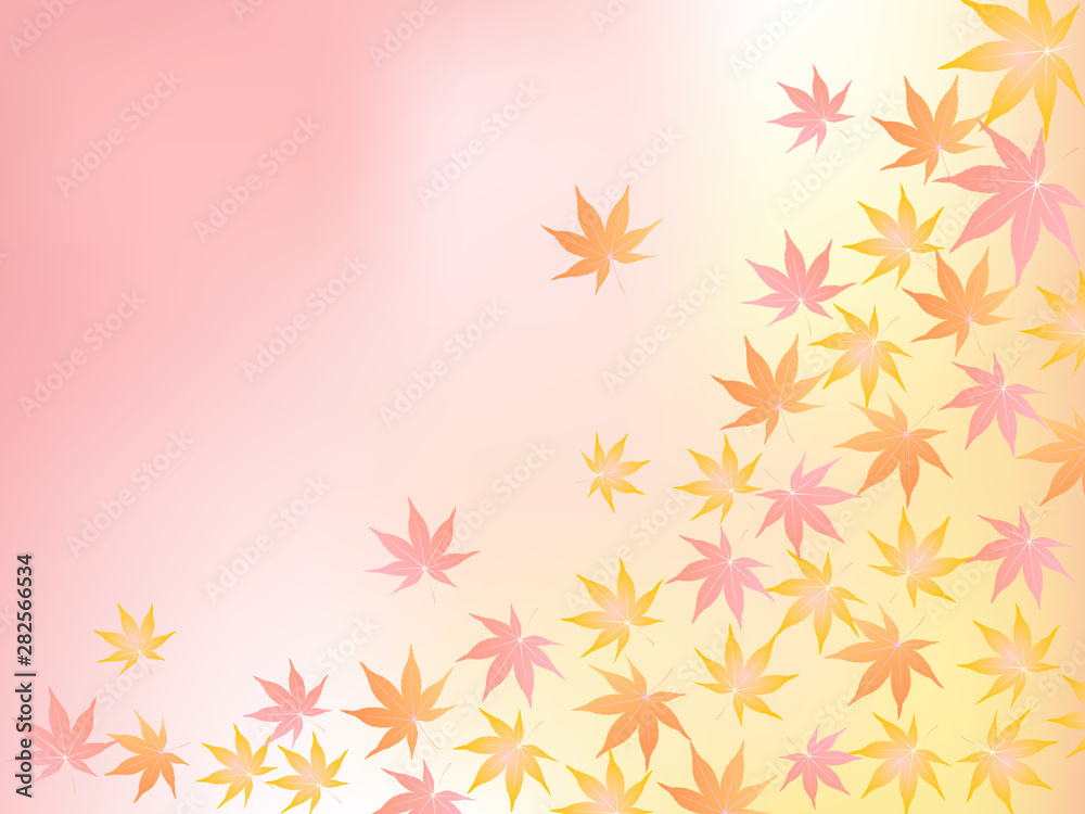 紅葉 もみじ 葉 背景 紅葉 もみじ 葉 背景
