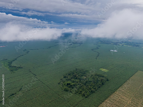 Beautiful aerial view of Banana plantations in Costa Rica on the road of Siquirres - Limon © Gian
