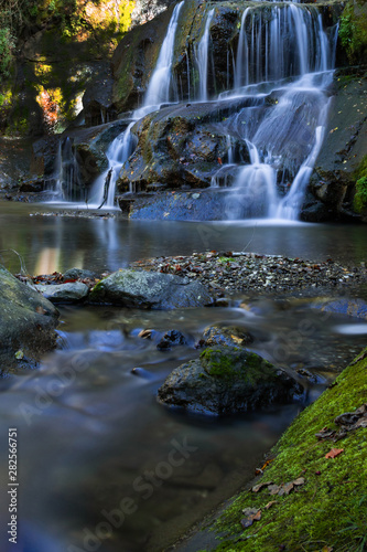 waterfall in forest