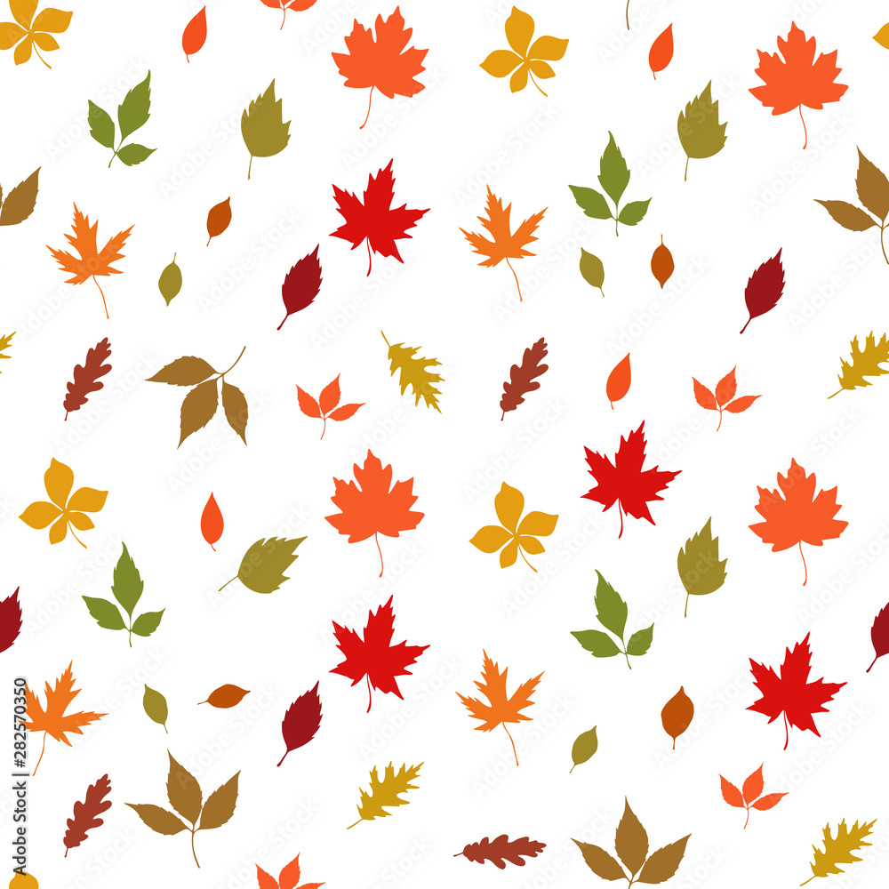Fototapeta premium Autumn leaves seamless pattern on white background