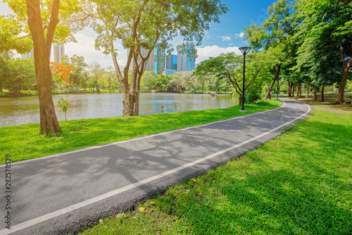Walkway in the park On sunny days. Nature in the city