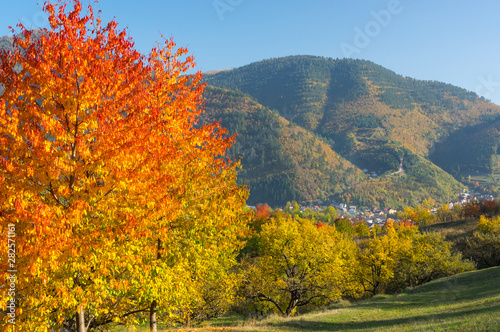 Fototapeta Naklejka Na Ścianę i Meble -  Rural Landscape with Autumn Colors.