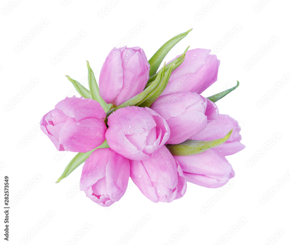 Tulips flowers on white background Tulips flowers on white background
