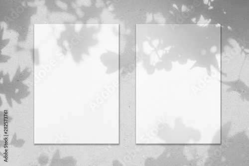 Two empty white vertical rectangle poster mockups with leaves shadows
