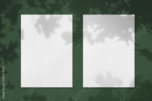 Two empty white vertical rectangle poster mockups with soft shadows on dark green colored concrete wall background. Flat lay, top view