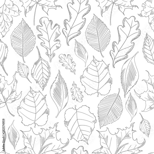 seamless pattern autumn leaves set in a sketch style.
