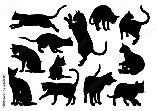 A cat silhouettes pet animals graphics set