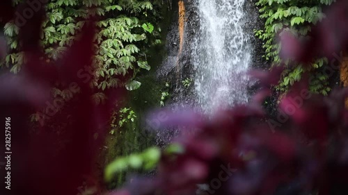 Slow Motion Shot of a vibrant purple flower at one of the many beautiful Banyu Wana Amertha Waterfalls in the jungles of Bali, Indonesia. photo