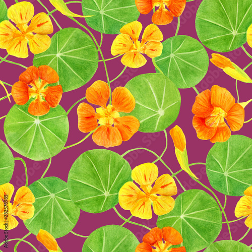 Red  orange  yellow nasturtium flowers and leaves seamless pattern. Hand drawn botanical watercolor illustration with garden flowers. Floral decoration for invitation  greeting cards  textile  print.