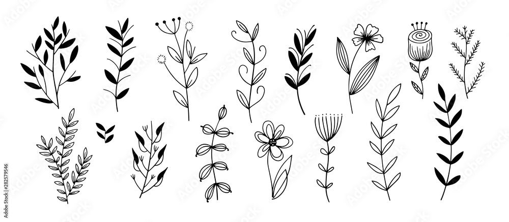 Fototapeta little branches and florals for tiny tattoo, hand draw doodle sketch drawing