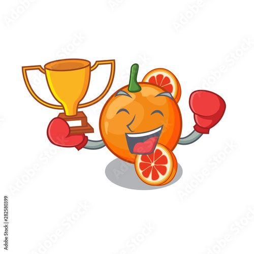 Boxing winner orange blood isolated in the character