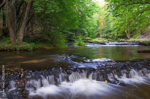 Roztocze Park Narodowy Szumy Nad Tanwią © Przemysław.S