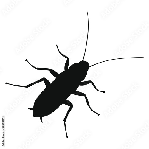 Cockroach graphic sign. Cockroach silhouette close up isolated on white background. Vector illustration