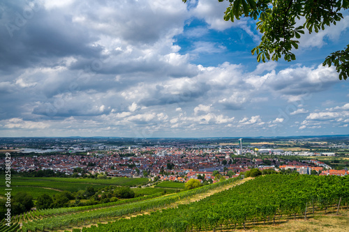 Germany  Wide view above roofs of cityscape of city fellbach near stuttgart in summer surrounded by green vineyards