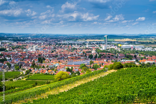 Obraz na płótnie Germany, Houses of city fellbach near stuttgart from above green vineyards in summer season w salonie