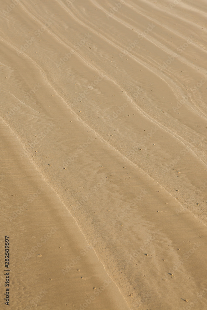Seamless sand on a whole background and texture. Seamless sand on a whole background and texture.