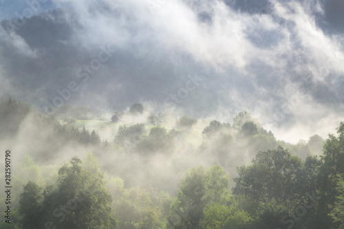 Foggy Black Forest, Germany