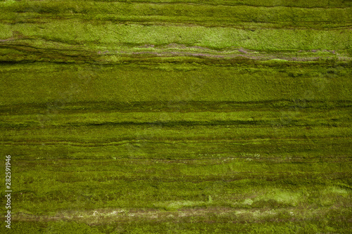 Texture of green stone rock.
