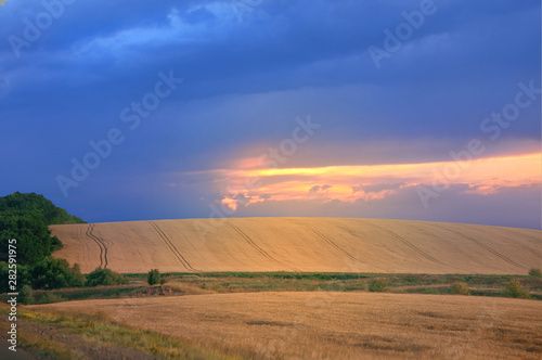 Beautiful landscape with a yellow field that goes beyond the horizon