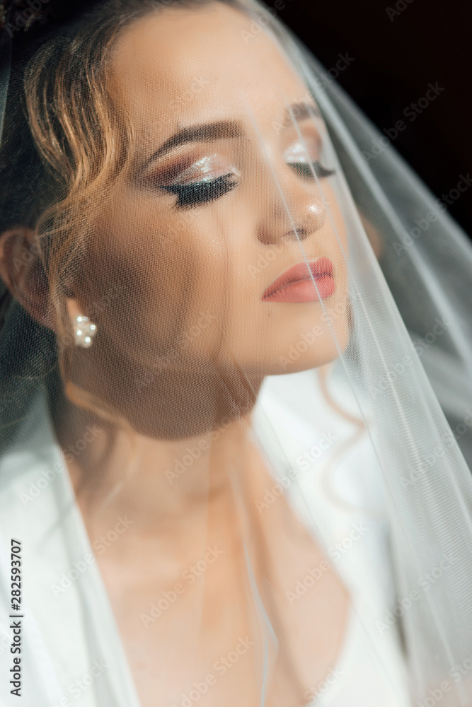 Beautiful bride in veil. Close Up shot of elegant bride in luxury white dress posing under veil close up. Bride portrait wedding makeup and hairstyle with diamond crown, fashion bride. Beautiful bride in veil. Close Up shot of elegant bride in luxury white dress posing under veil close up. Bride portrait wedding makeup and hairstyle with diamond crown, fashion bride.