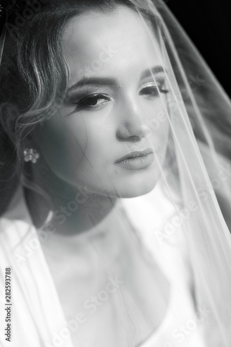 Beautiful bride in veil, fashion bride. Beautiful sexy bride posing under veil. Bride portrait wedding makeup and hairstyle with diamond crown. Black and white.