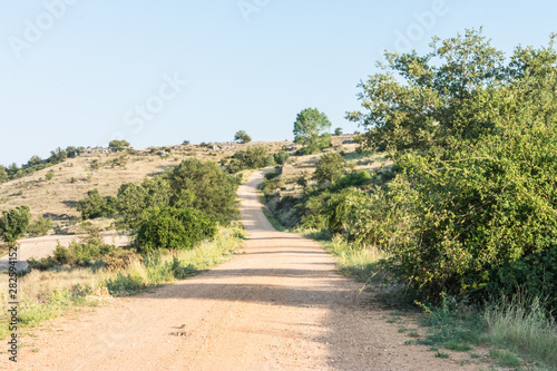 dirt road on hill in plain
