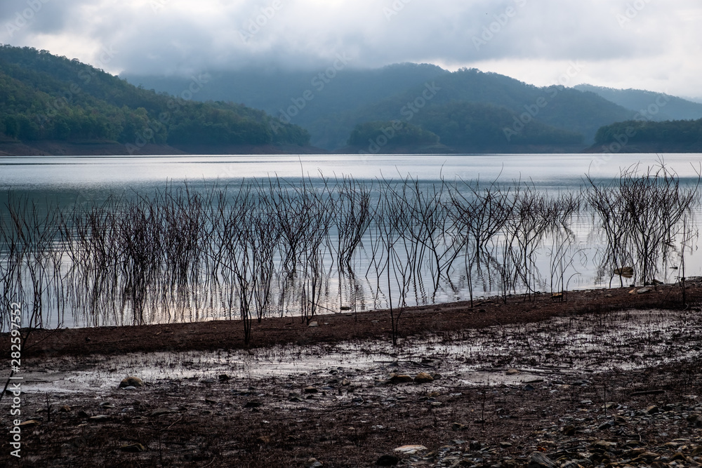View of the lake and mountains with dead branches of pricky wood weed at the waterside on a cloudy day.