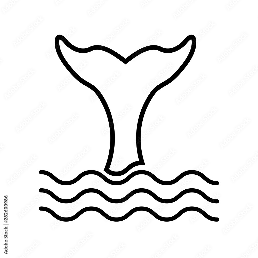 Whale line icon, logo isolated on white background Whale line icon, logo isolated on white background