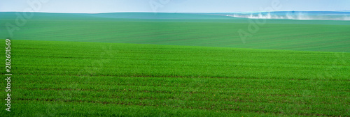 panoramic view of beautiful agicultural green lines of fields photo