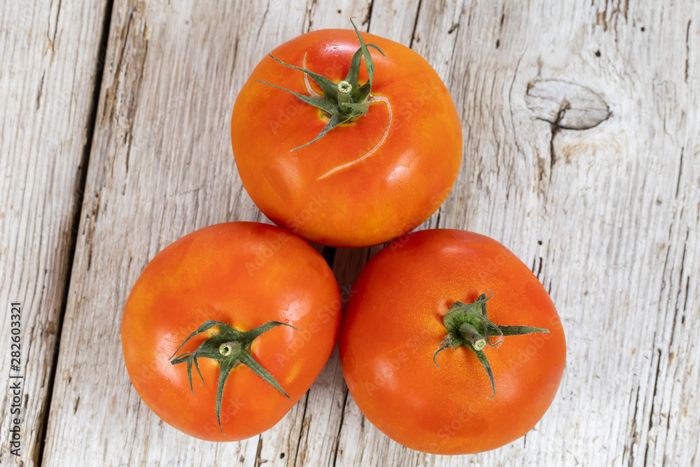 tomates tomates