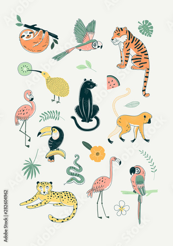 Exotic tropical Jungle animals poster illustration on light background. Tiger Leopard Panther Sloth Monkey Snake Flamingo Parrot Toucan Kiwi bird Rainforest creature graphics.
