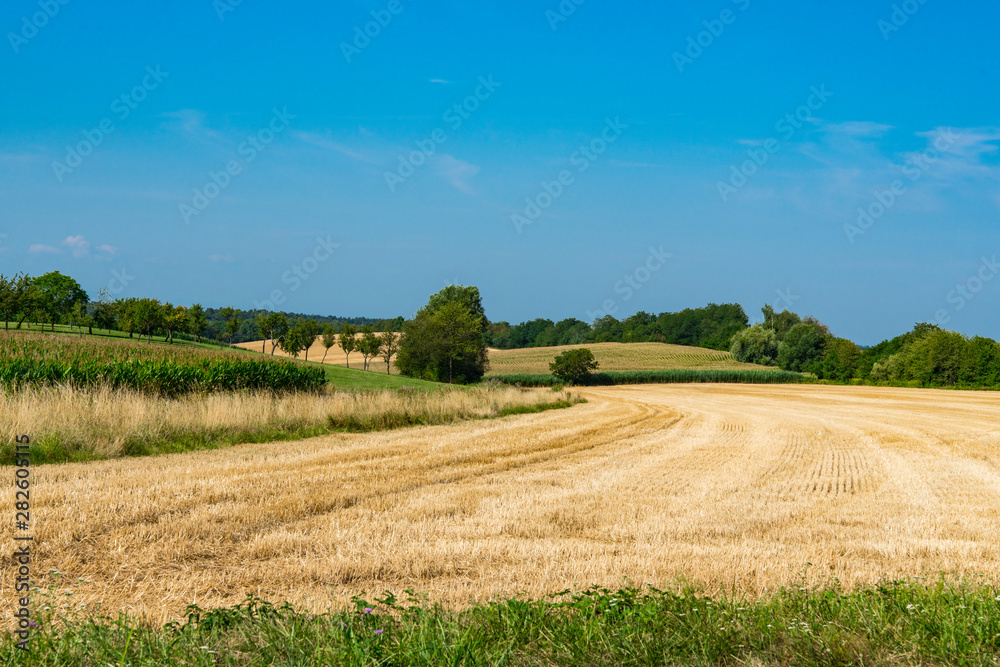 meadow landscape of Betschdorf, France