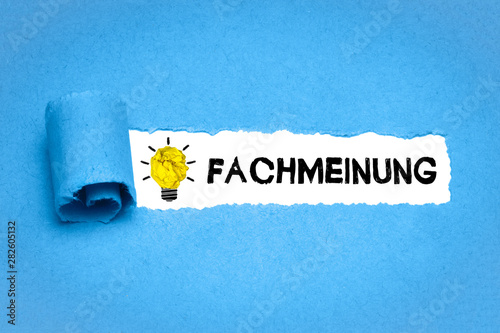 Fachmeinung